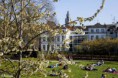 /album/petits-details-lillois-59000-france-/jardin2-du-parvis-de-la-treille-6avril-2013-jpg/